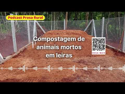 Compostagem de animais mortos em leiras