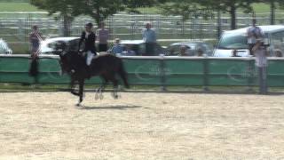  CSI*** Magna Racino Spring Tour 2011 Grand Prix 150