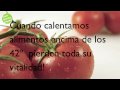 Receta Secreto Juventud Comida Viva Cruda Raw Food: