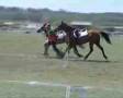 championnats de france poney 2006