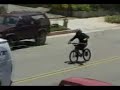 cky & jackass - idiot on a bmx cky & jackass - idiot on a bmx