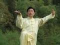 Grand Master Chen Xiaowang