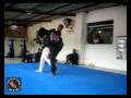 HAPKIDO DA BAHIA - ASSOC RED SCORPION