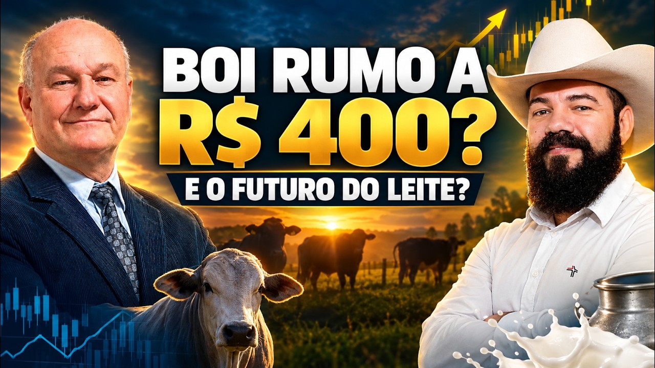 Boi Gordo Rumo aos R$400 e Mercado Futuro do Leite: O Que Esperar da Pecuária?