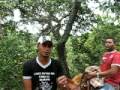 videos de Boi tufão cantado na serra de curimataí a caminho do rancho do capão das pombas
