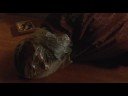 a gang of drug dealers robs and murders a house full of people. one of the most disturbing stabbing scenes on film