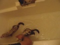 Ferret Bath