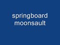 spring board moonsault contest entry.wmv