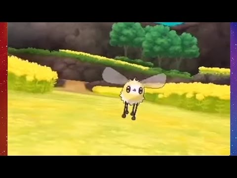 Vidéo 1