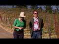 The Great Village #3: French or Californian Wine?