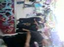 FULL!