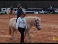 Join us in the First Annual Natural Icelandic Horse Worldwide Virtual Show!

This will be an on-line video show to share our horses, natural horsemanship, and natural gaits with each other, and
the rest of the world!

Many people around the world are interested in natural horsemanship and natural gaits with their Icelandic Horses.
Since we are all geographically spread out, this virtual on-line natural video show helps us share what we are
doing with like-minded owners.  We are able to share with everyone how responsive, intelligent, willing, and attentive,
our horses are.  Also, it may help inspire others who may be interested in a natural way with their Icelandic
Horses.

There are no specific classes or rules; good / natural horsemanship and natural gaits are the goal.  The virtual
show gives owners and horses a chance to show others their two-way communication, good partnerships, not dependant
upon tack.

Have someone take a video of you working / playing with your horse (or set the camera on the fence and turn it on!).
Capture some of your natural horsemanship and natural gaits to share with other Icelandic Horse owners around
the world.

Some of the things you can show are Parelli 7 Games http://iceryder.net/7games.html , any type of natural horsemanship groundwork, such as John
Lyons, Bill Dorrance (True Horsemanship Through Feel) http://iceryder.net/future.html , Clinton Anderson; working therapy horse session, horse quietly
standing for mounting, bareback, gaiting on a loose rein, trail rides, flexibility and suppling exercises, at-liberty
leading, lead-line, jumping, dressage, tricks, trailer loading, obstacle course, vaulting, taking Grandma for a ride around the
round pen, etc.

Show off your kids with lead-line riding; show off your horses gaiting naturally!  Show off your natural horsemanship.
Do you have a new foal?  Share him and his introduction to natural horsemanship.

If you've never been in a show before... not to worry!  Don't think about attire, or your weight, or your hair.  It's
about the ability to have two-way communication with the horse, not dependant upon tack.  Tossing out the noseband 
allows for the horse to tell you if the bit is bothering him or that he doesn't understand how to use it as a
method of communication (or that your hands are not so good!).

Clicker training?  Share it with us!

There will be no judging; everyone wins in this show!  Everyone is invited, from novice horse owners, to kids,
to non-riders, to professional and / or certified trainers and judges.

There is no limit to the number of videos that you can submit.  The more the merrier!

We hope to have people from every country enter the show.  There are no fees, no costs; just take a video and upload
it to youtube.  All of the Natural Icelandic Horse Virtual Show videos will be linked to one page for all of us
to share and enjoy.

If you need help figuring out how to upload a video, let us know and we can help you.  

Upload the video to http://youtube.com (you will need to create an account before uploading if you do not already
have one) by June 14, 2008.  In the area for 
