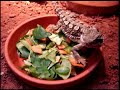 Pogona Henrylawsoni - Breakfast