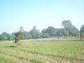Habib Farmhouse 11Dec 2008