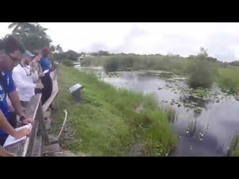 Everglades National Park Field Trip