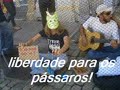 Liberdade para os pássaros, por um mundo sem gaiolas!