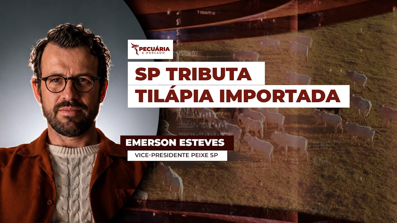 SP tributa tilápia do Vietnã e medida é comemorada pelo setor produtivo