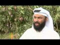 Sudan's rural riches attract investors - 17 May 09