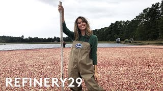 I Worked As A Cranberry Farmer For A Day