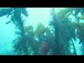 Faroe Islands Video