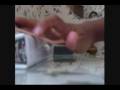 Half-Black Skills 2