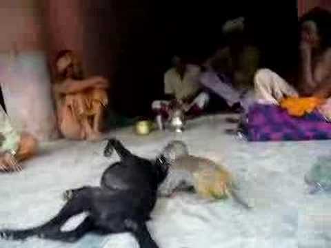 YouTube előnézeti kép