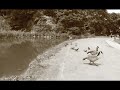 pato.mov