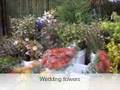 Wedding planning