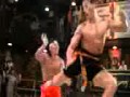 Van damme tigan