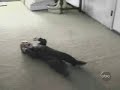 ????????~ ????????~
