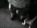 ????