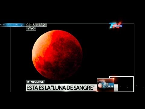 tn - Noticias, hoy, 2014, 15/4, TN, C5N, Cronica, Tv Publica, Telefe Noticias, America 24, Canal 26, América Noticias, Telenoche, Bendita, AM, Duro de Domar, Marl...