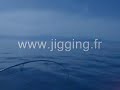 Jigging Rush Seriole by \"Seriola\" Jigging Rush Seriole by \"Seriola\"