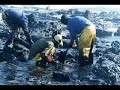 donde jugaran los ninos- an environmental music video donde jugaran los ninos- an environmental music video