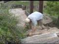 YouTube - Geocaching, Lets Go Caching - 0006