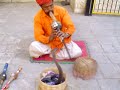 snake-charmer-kisses-king-cobra-51-times-in-world-record.html