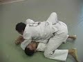 BJJ Blue Belt Demo