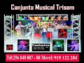 Conjunto Musical Trisom - Publicidade-