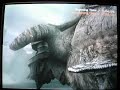 another quadratus video
