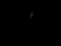 VID 00073-20091122-1428.3GP