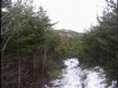 Long Ridge Hiking Trail