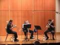 Vivace, Alteba Trio / Hidas