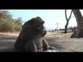 jon olsson videoblog post 9