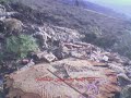 beitiksa dont cut the tree.