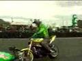 European-Stunt-frees