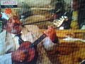 Spasoja romski knez- pesma
