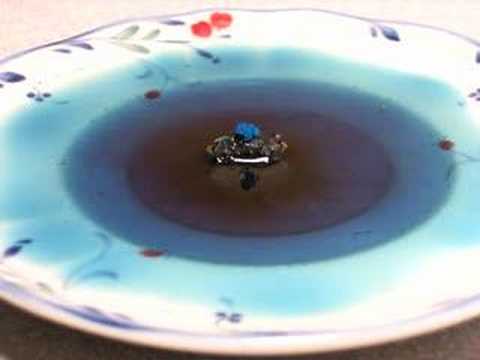 Growing Crystals on a Rock