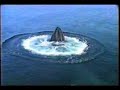 Whales With Names - Thorn Blows Bubbles Whales With Names - Thorn Blows Bubbles
