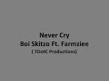 Boi Skitzo Ft. Farmziee - Never Cry (TDotC Productions)
