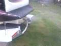 videos de 350 Chev revving